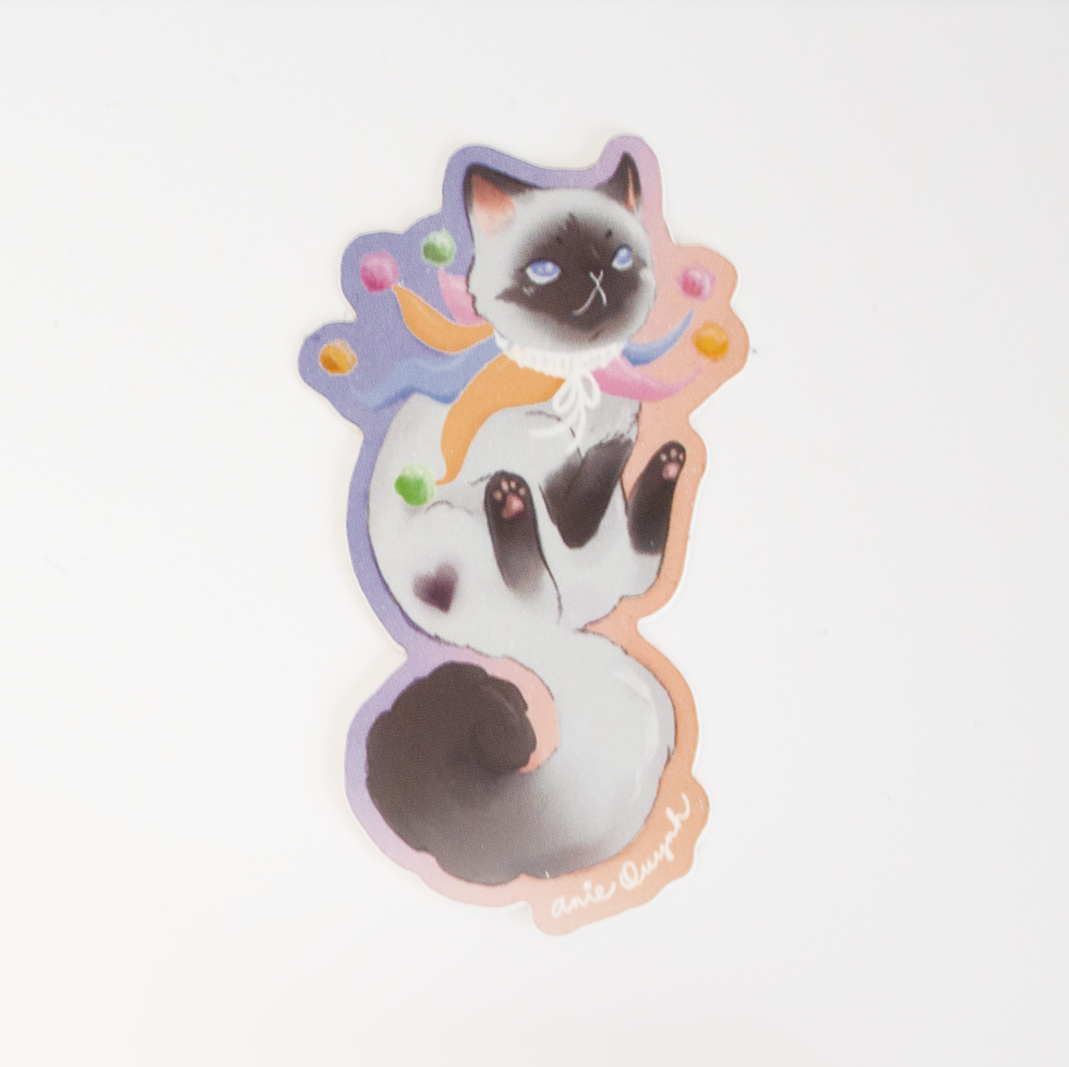 Ragdoll or fluffy siamese cat with a jester collar and his toe beans out.